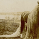 Illustration for article titled The real-life My Little Ponies were creepy and magnificent beasts
